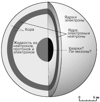 Нейтронная звезда (внутренняя структура)