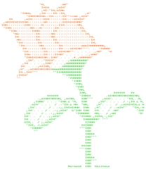 ASCII изображение